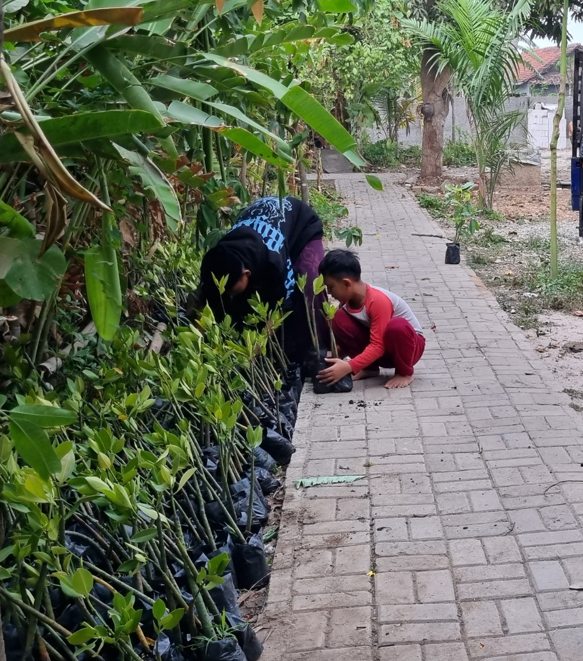 aksi santribumi