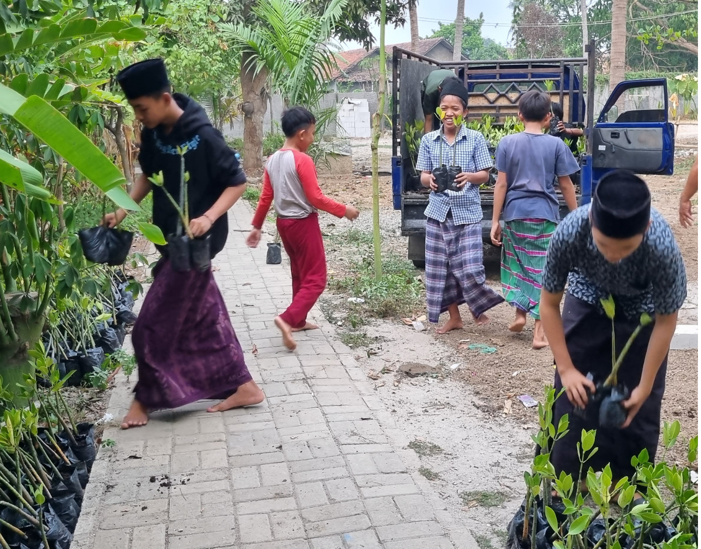 aksi santribumi